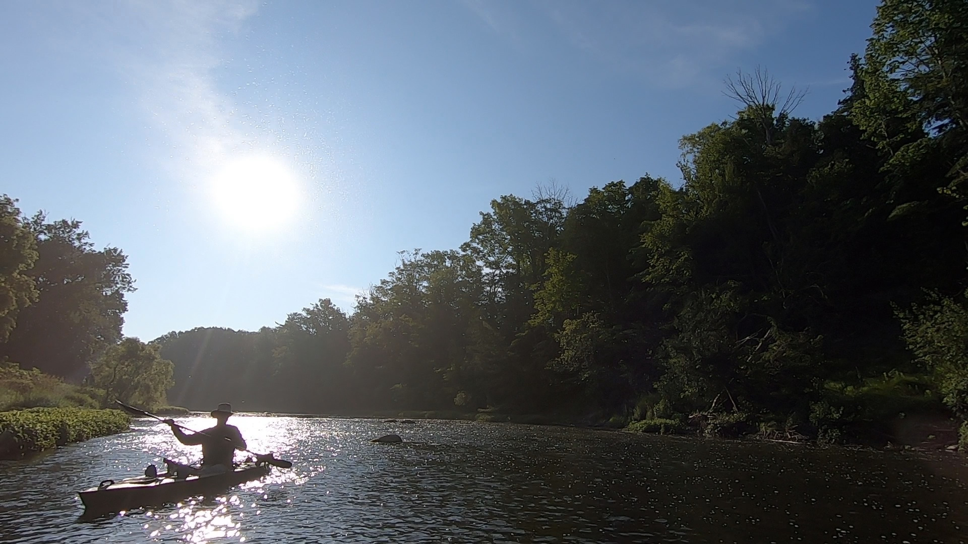Into the sun